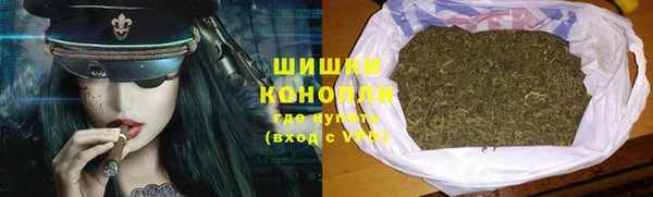 дурь Бородино