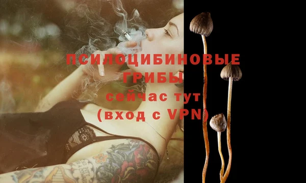 соль курить ск Богородицк